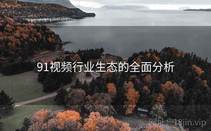91视频行业生态的全面分析
