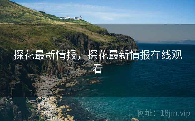 探花最新情报，探花最新情报在线观看