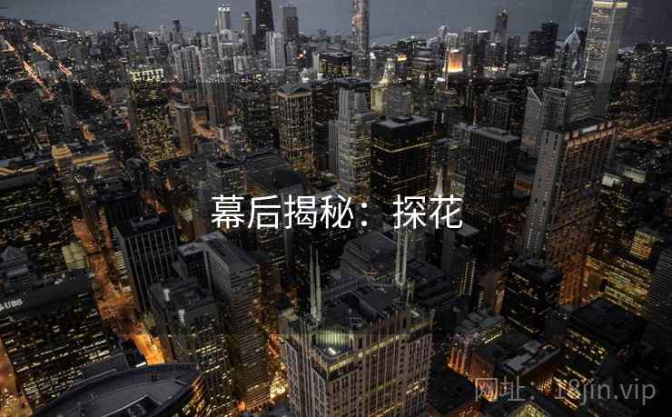 幕后揭秘:探花