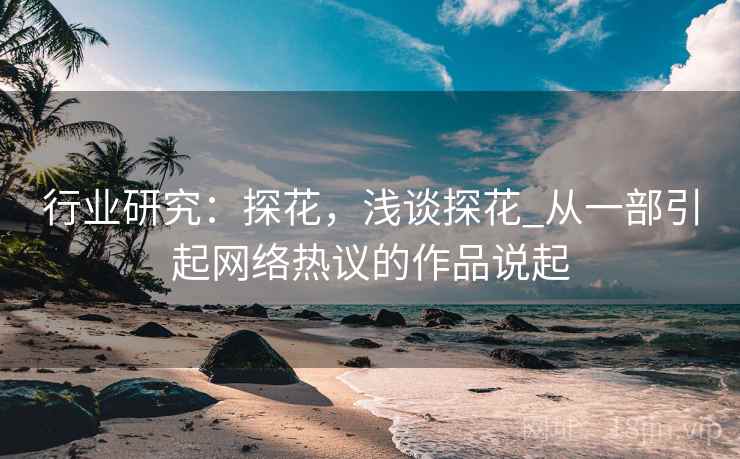 行业研究：探花，浅谈探花_从一部引起网络热议的作品说起