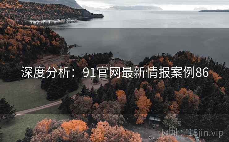 深度分析:91官网最新情报案例86