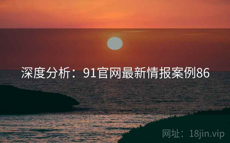 深度分析：91官网最新情报案例86