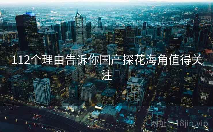 112个理由告诉你国产探花海角值得关注
