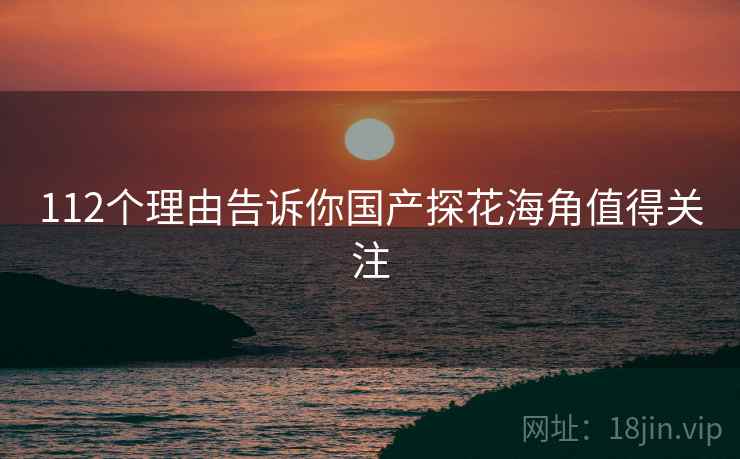 112个理由告诉你国产探花海角值得关注