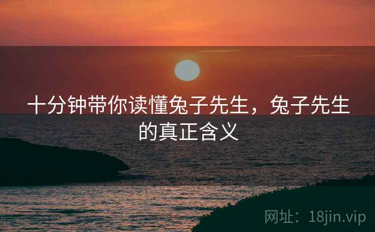 十分钟带你读懂兔子先生，兔子先生的真正含义