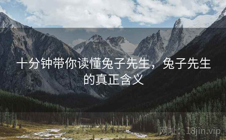 十分钟带你读懂兔子先生，兔子先生的真正含义
