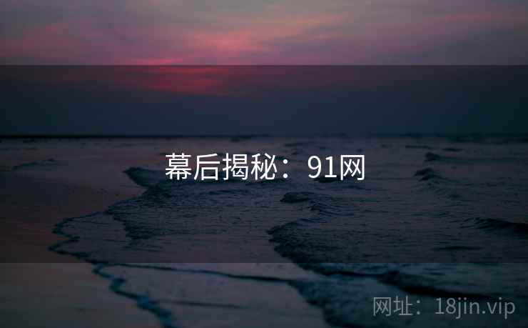 幕后揭秘：91网