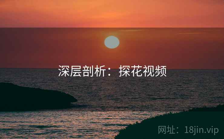 深层剖析：探花视频