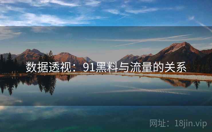 数据透视：91黑料与流量的关系