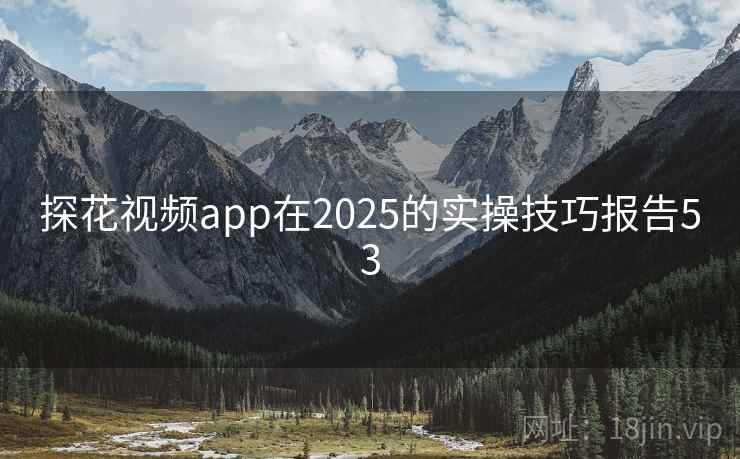 探花视频app在2025的实操技巧报告53