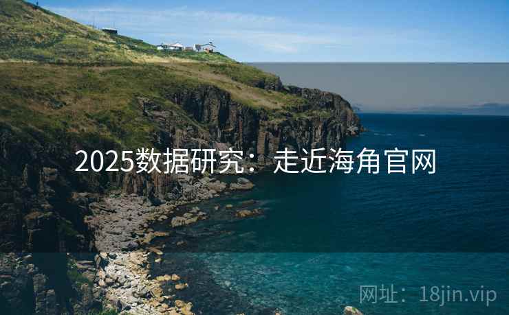 2025数据研究：走近海角官网