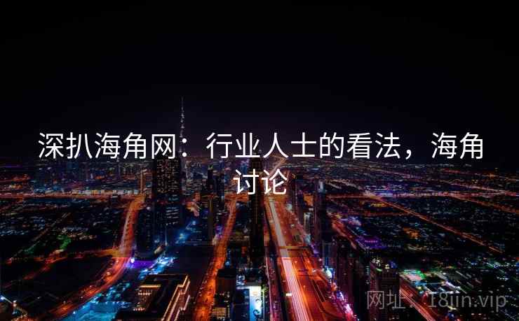 深扒海角网：行业人士的看法，海角讨论