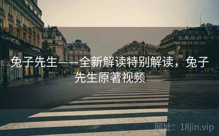 兔子先生——全新解读特别解读，兔子先生原著视频
