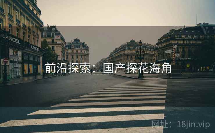 前沿探索：国产探花海角