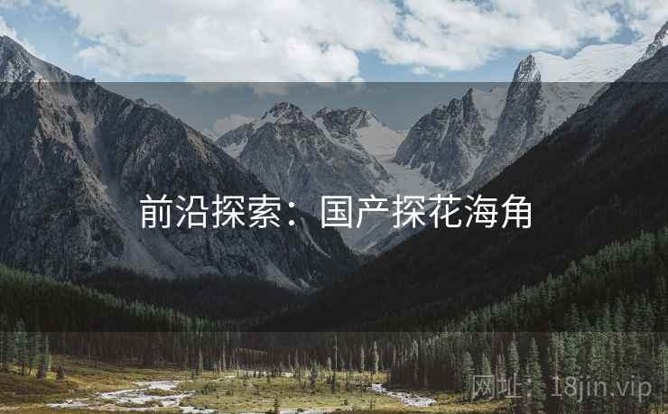 前沿探索：国产探花海角