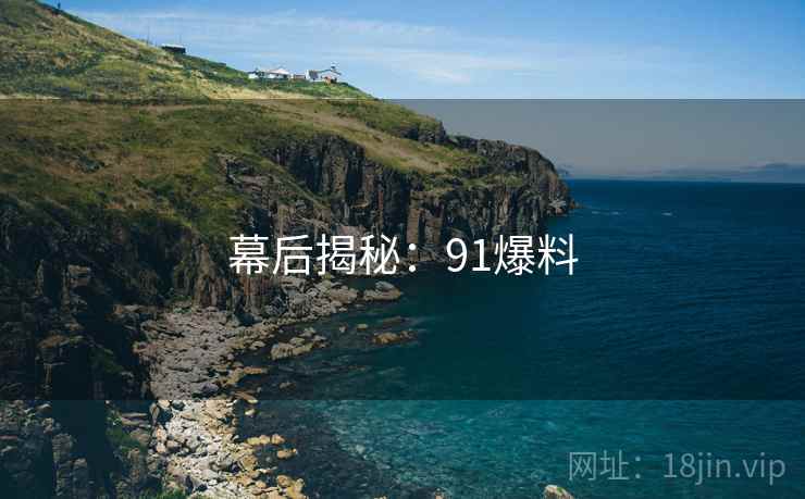幕后揭秘：91爆料