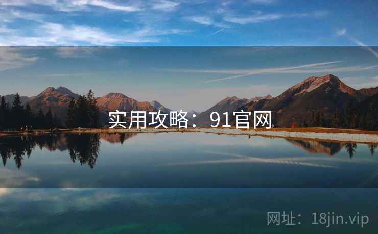 实用攻略：91官网