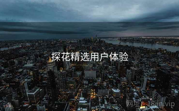 探花精选用户体验