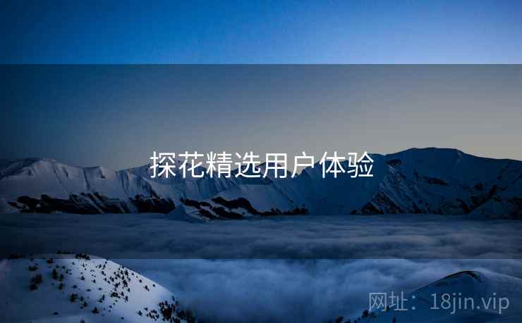 探花精选用户体验