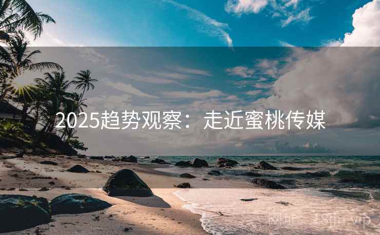 2025趋势观察：走近蜜桃传媒