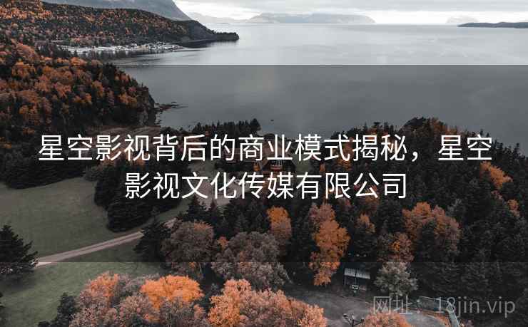 星空影视背后的商业模式揭秘，星空影视文化传媒有限公司