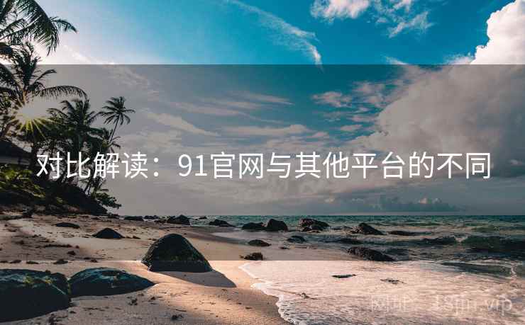 对比解读：91官网与其他平台的不同
