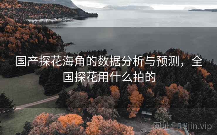 国产探花海角的数据分析与预测，全国探花用什么拍的