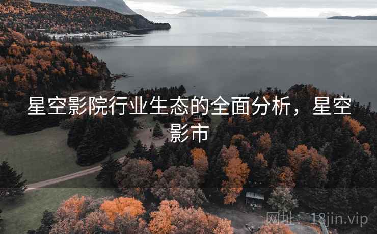 星空影院行业生态的全面分析，星空影市