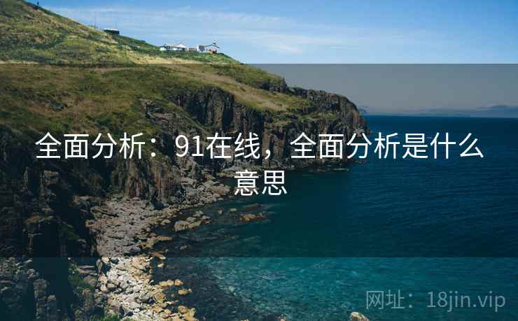 全面分析：91在线，全面分析是什么意思