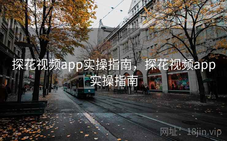探花视频app实操指南，探花视频app实操指南