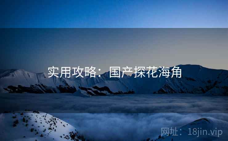 实用攻略：国产探花海角