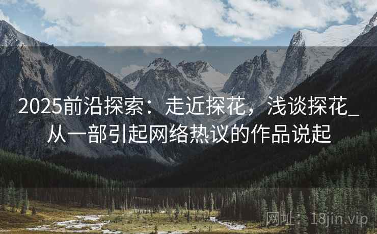2025前沿探索：走近探花，浅谈探花_从一部引起网络热议的作品说起