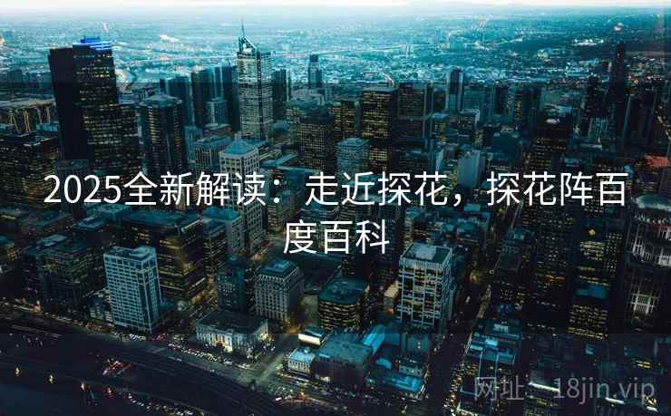 2025全新解读：走近探花，探花阵百度百科