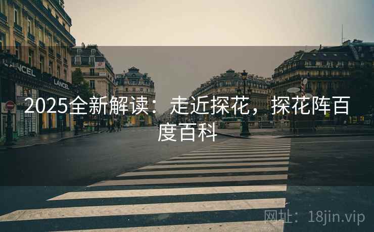 2025全新解读：走近探花，探花阵百度百科