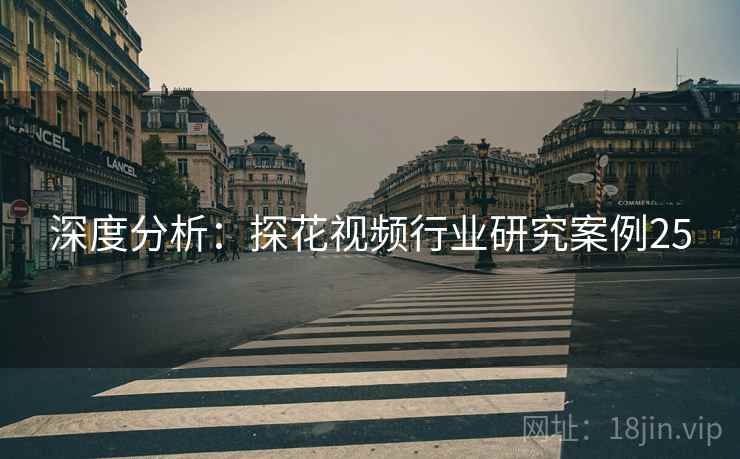 深度分析：探花视频行业研究案例25