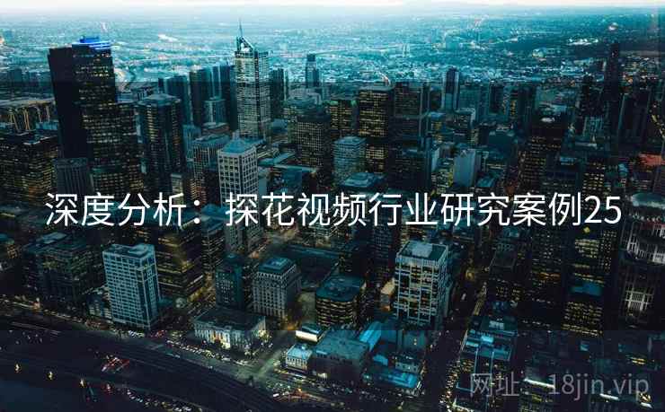 深度分析：探花视频行业研究案例25