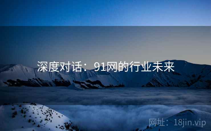 深度对话：91网的行业未来