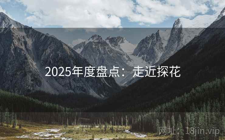 2025年度盘点：走近探花