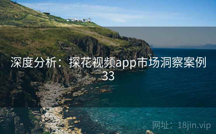 深度分析：探花视频app市场洞察案例33